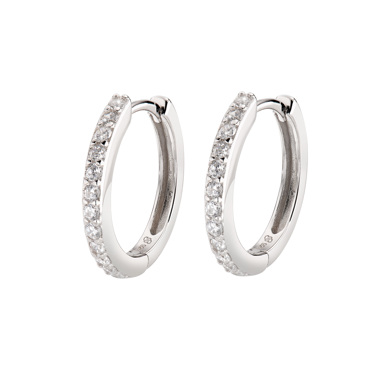 Σκουλαρίκια από ασήμι