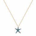 Kolie asterias