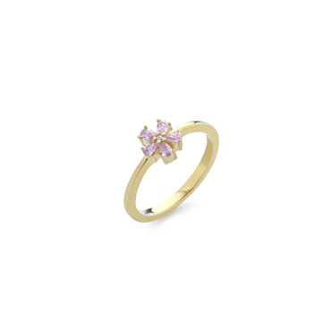 Δαχτυλίδι ασημένιο ροζέτα